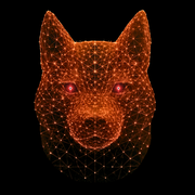 DOG Data
